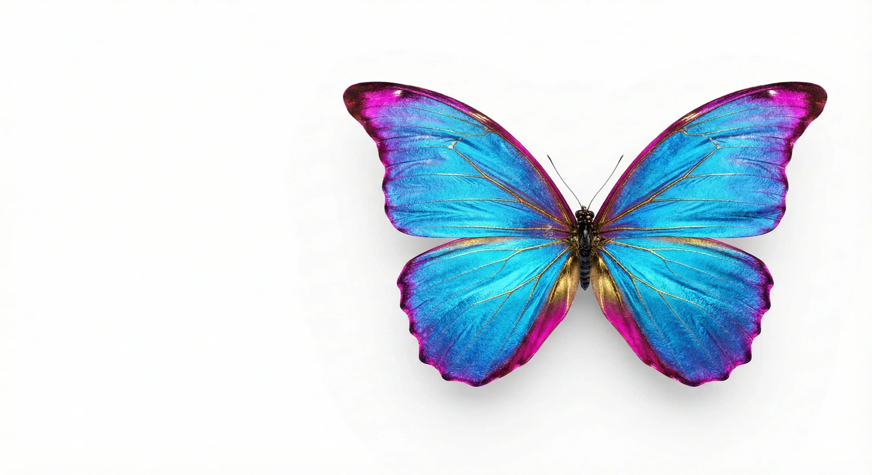 AI Governance Careers