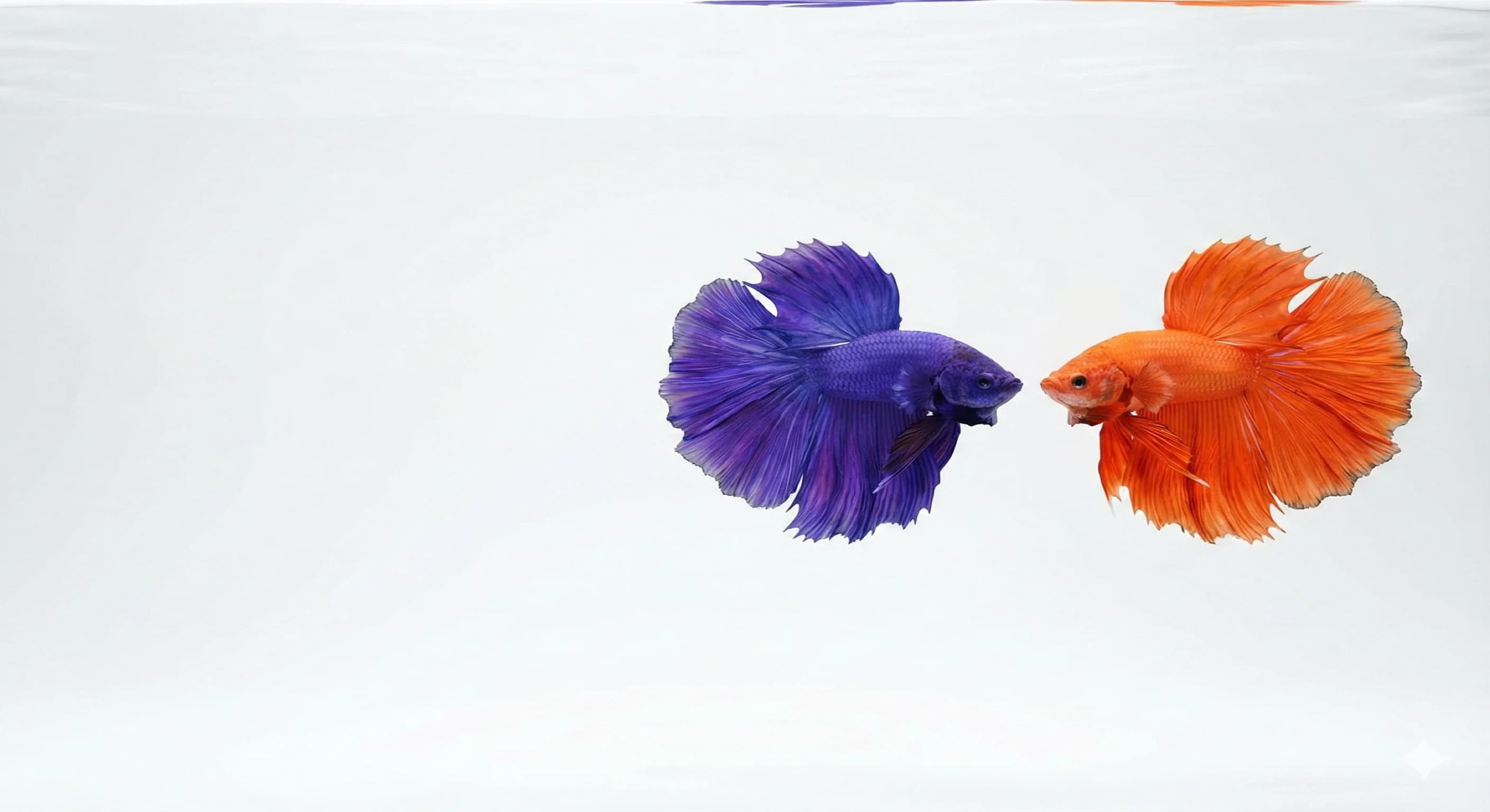 AI and National Security